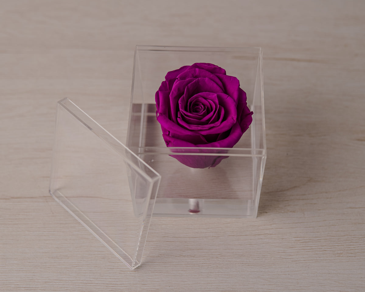Preserved rose plum