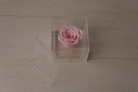 Preserved rose pink