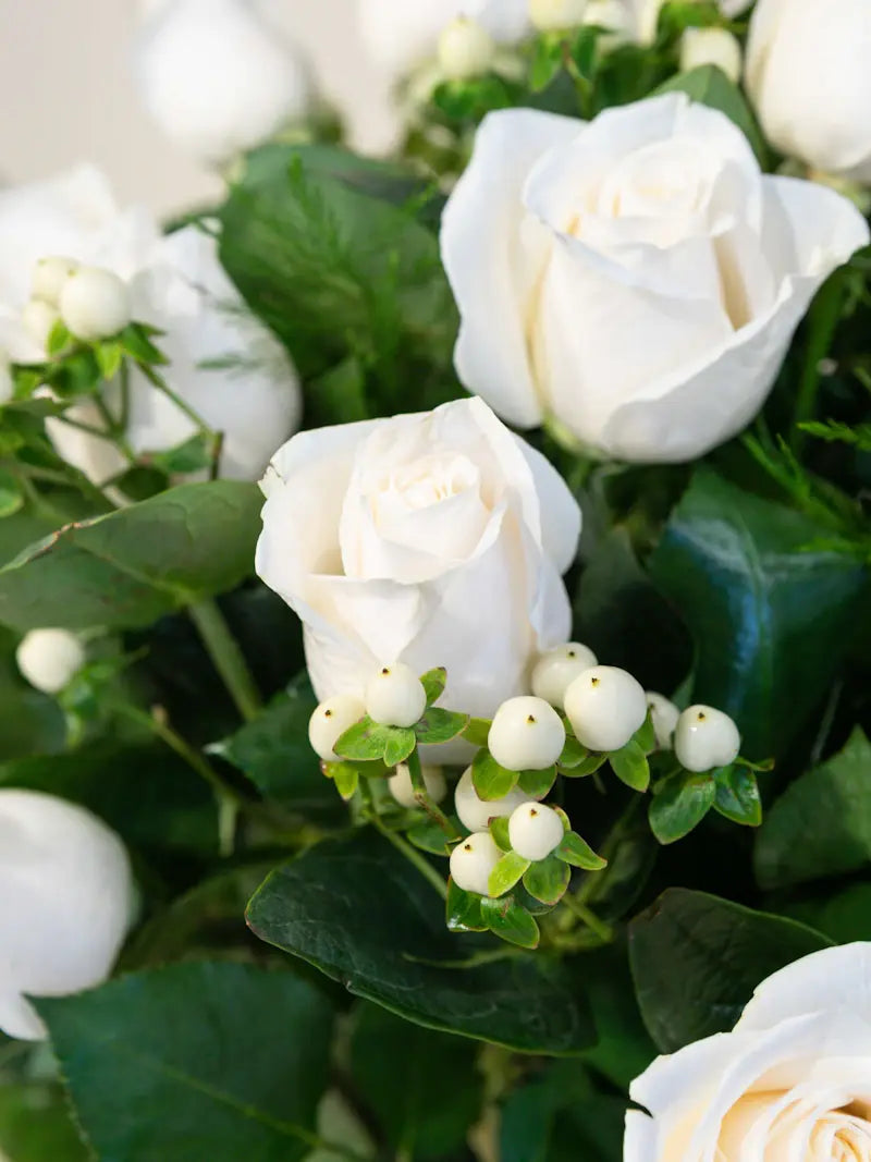 White Roses