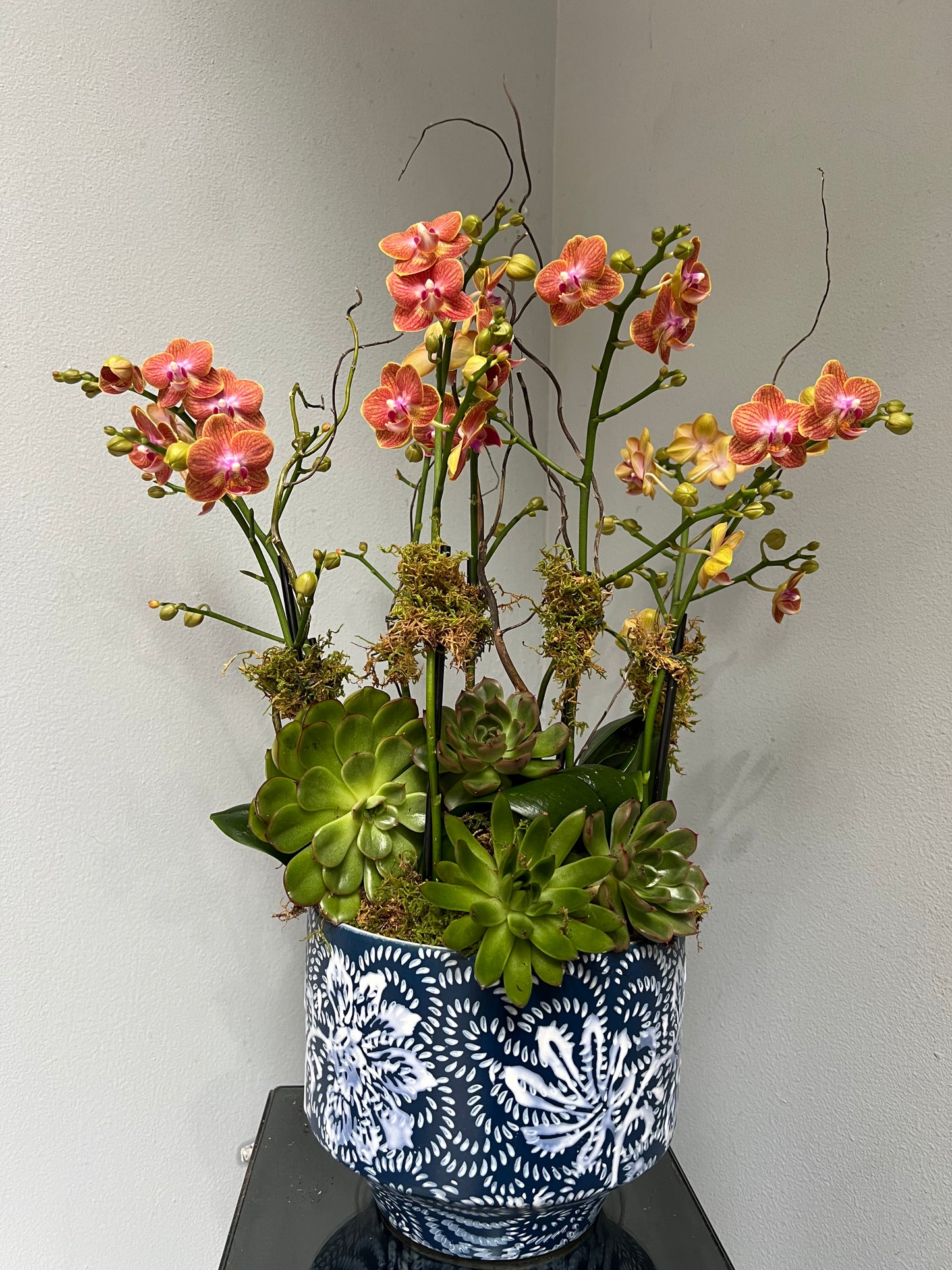 Orange Orchid with Succulent