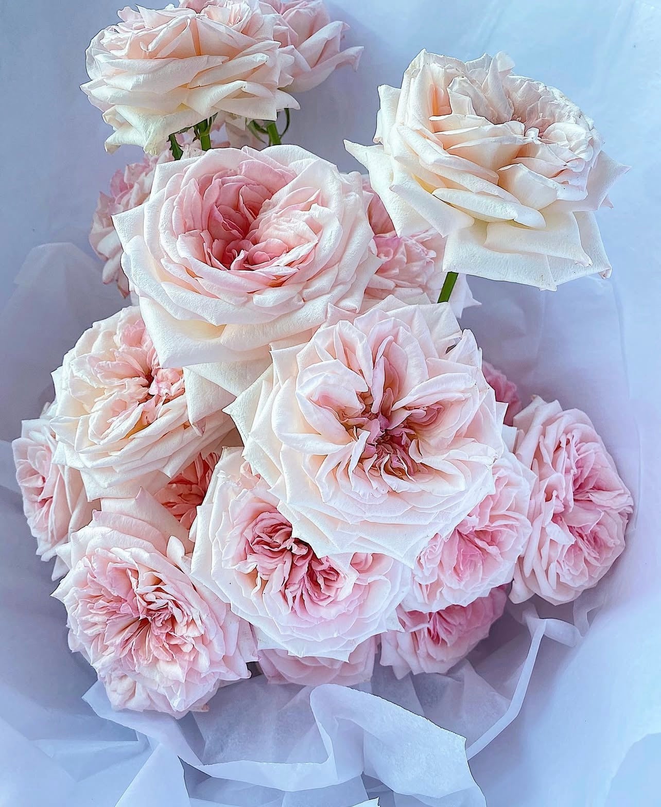 Pink Garden Rose Bouquet