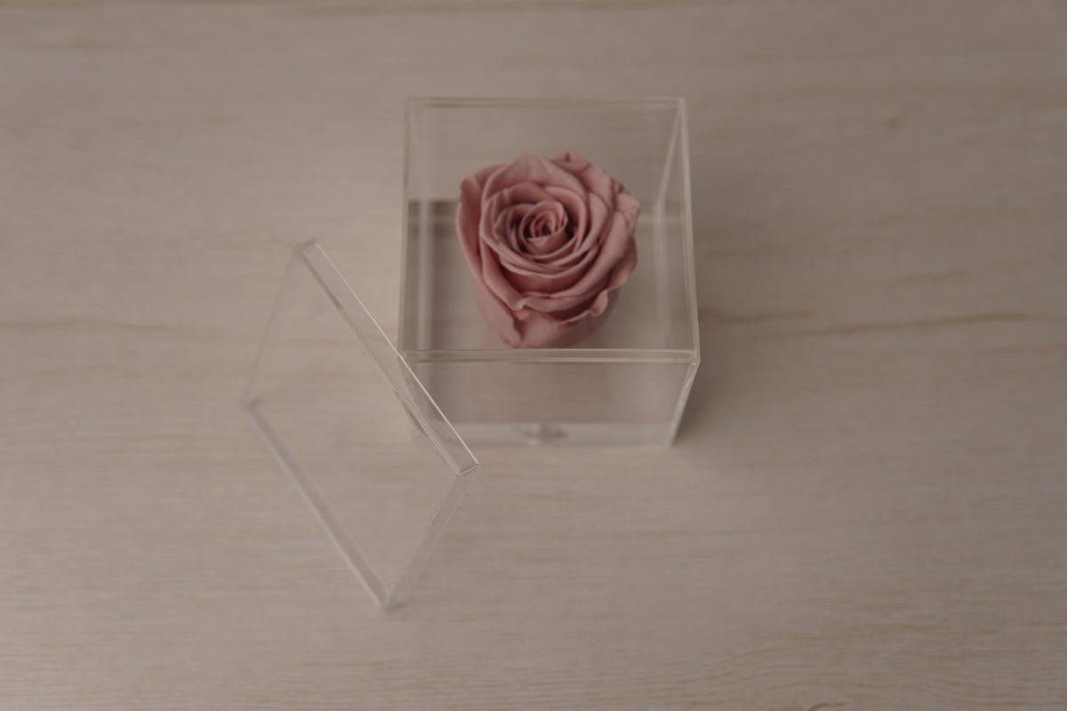 Preserved rose nude