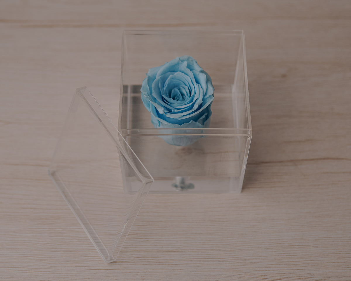 Preserved rose blue