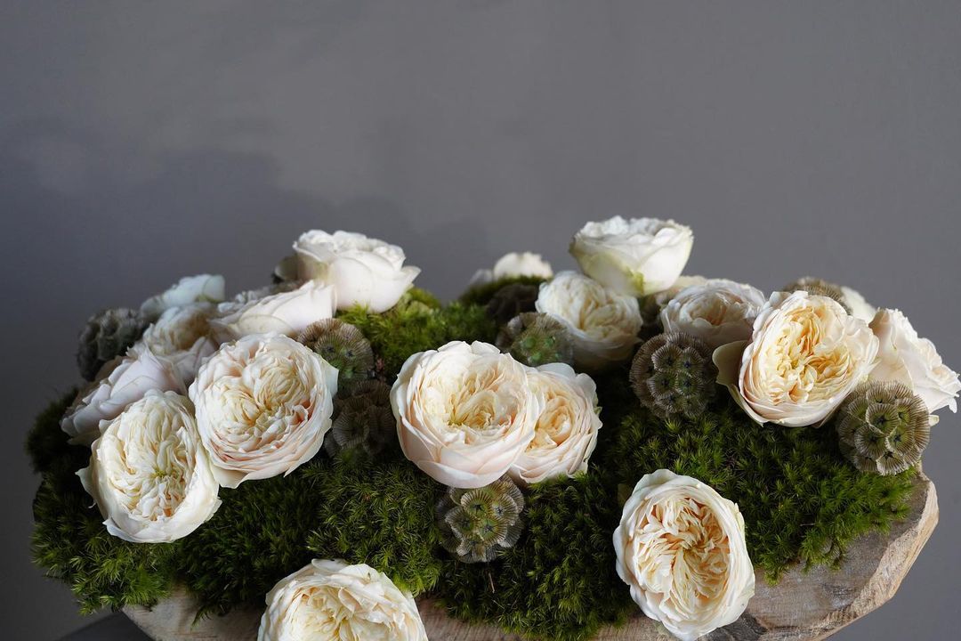 Rose Colors Meaning? Which Color Says What?