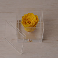 Preserved Rose — Yellow