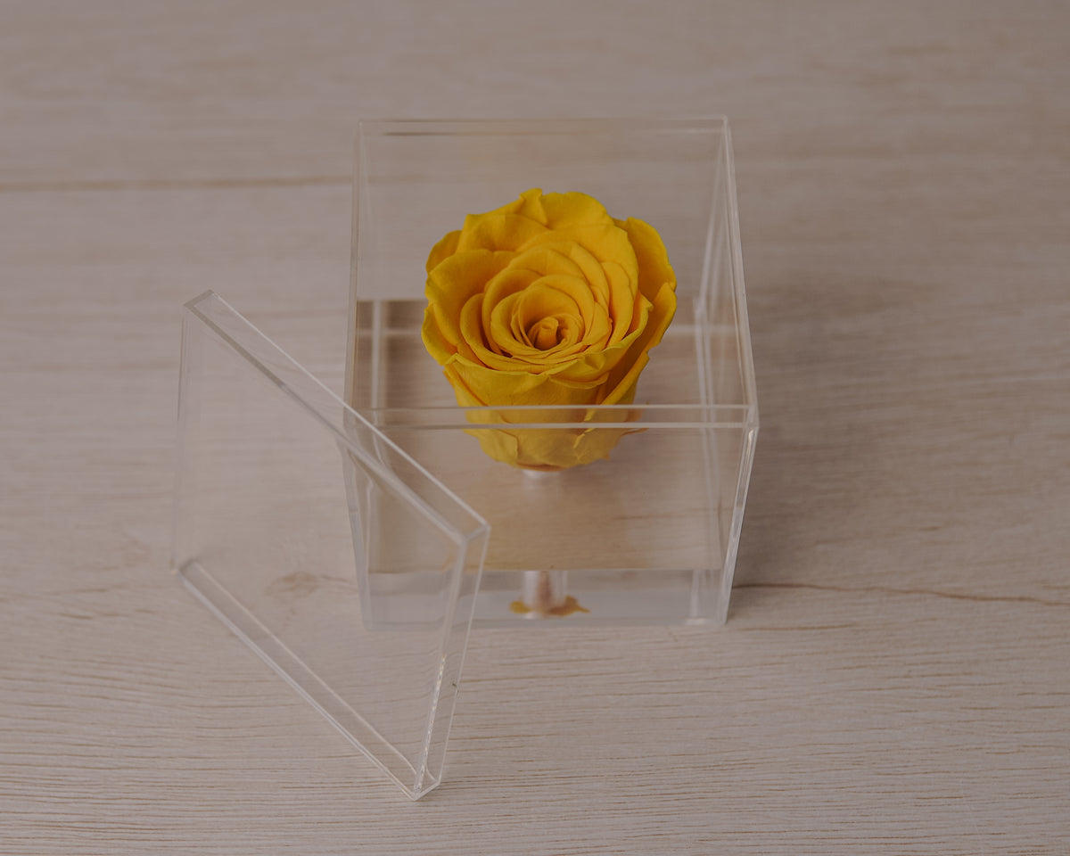 Preserved rose yellow