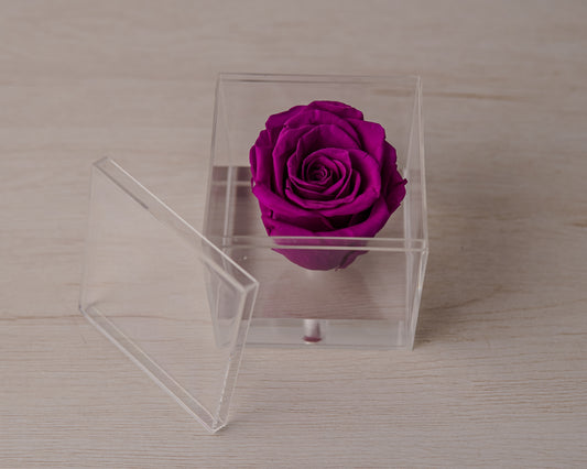 Preserved rose plum