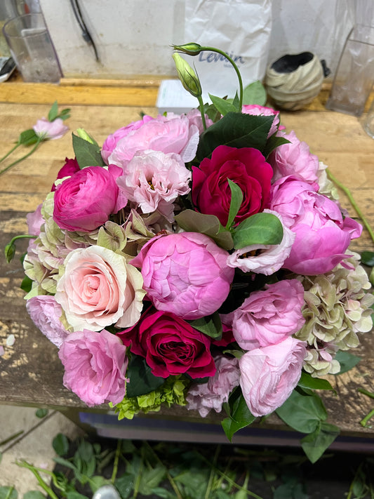 Peony Love