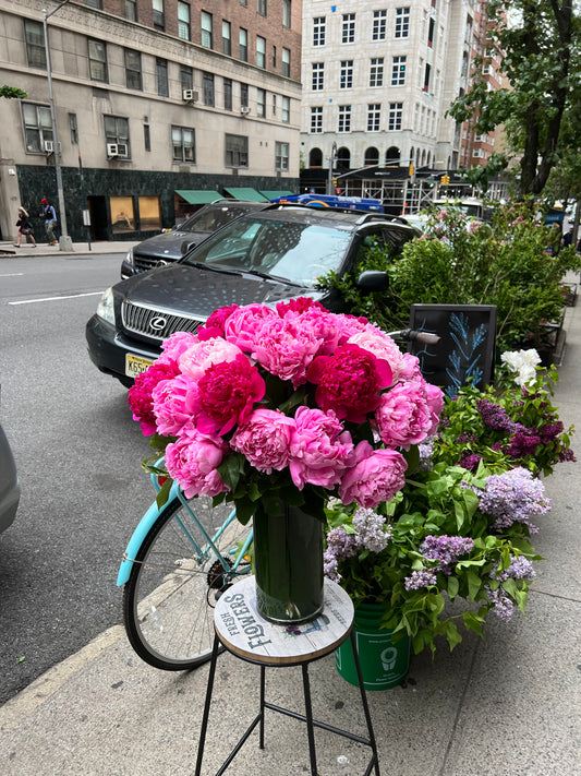 I'm in love with you