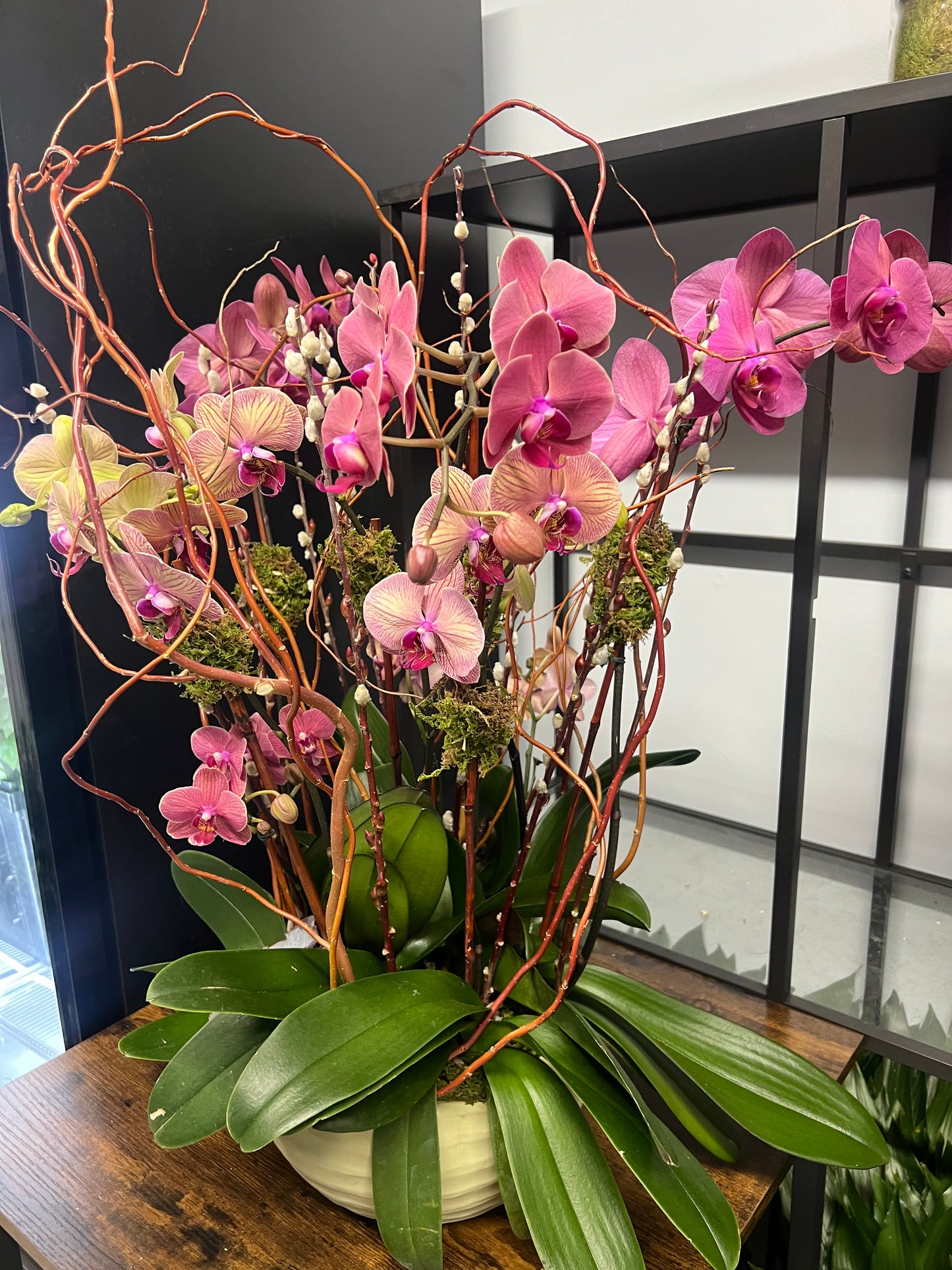 Peach Orchid Garden with Branches