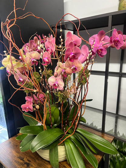 Peach Orchid Garden with Branches
