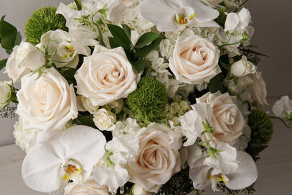 White Elegance