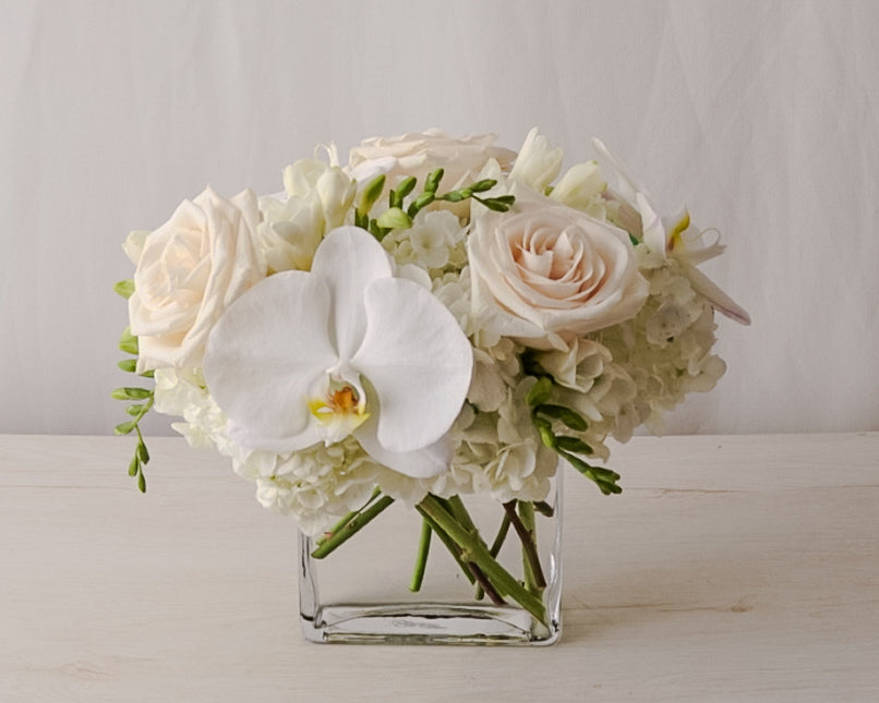 Pure White