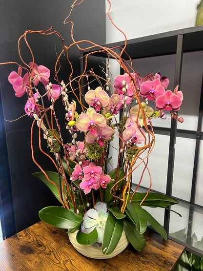 Peach Orchid Garden with Branches