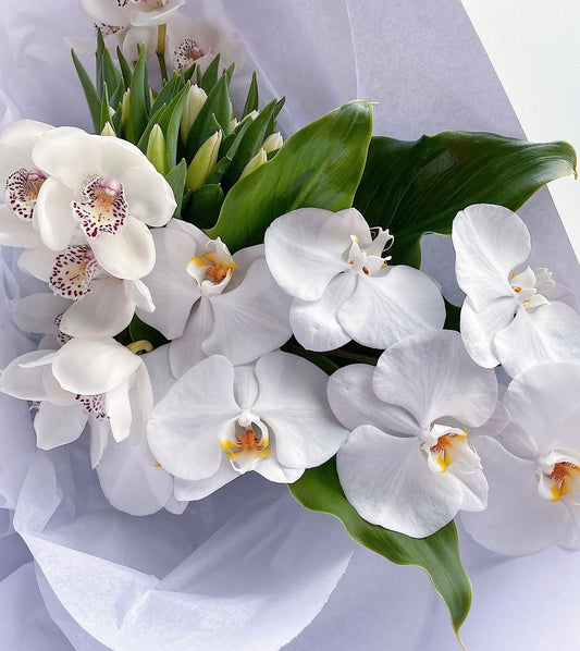 White Orchid Bouquet
