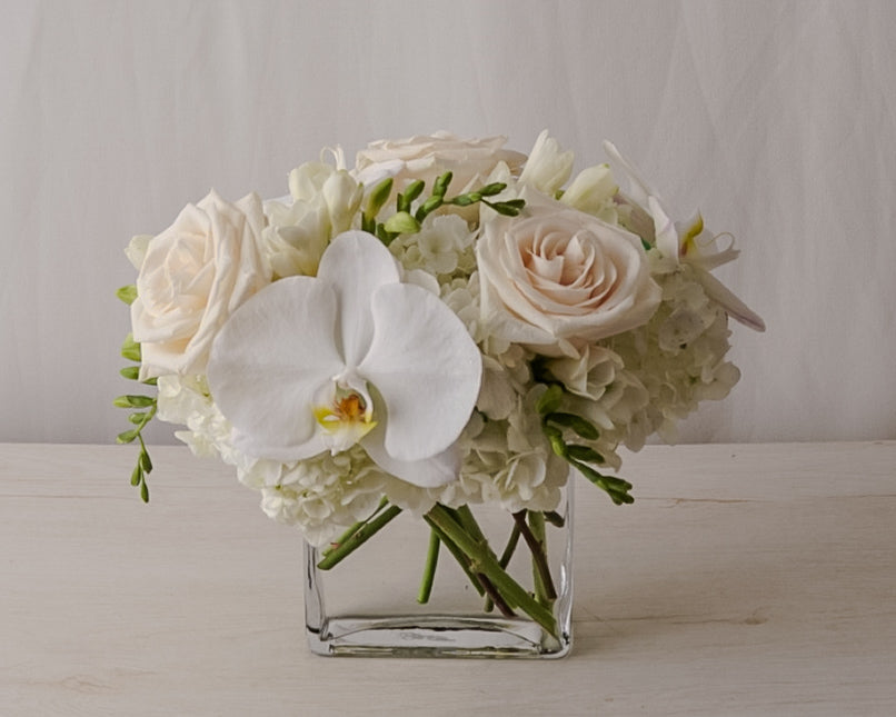 Pure White