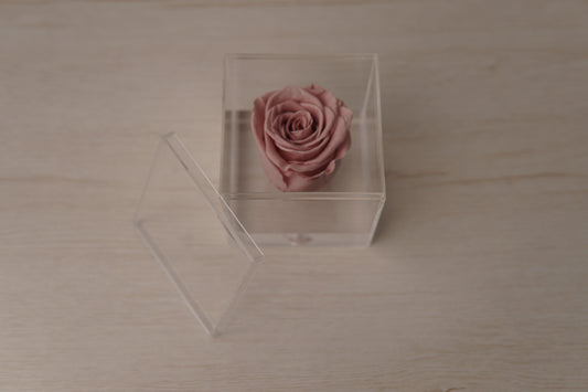 Preserved rose nude