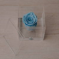 Preserved Rose — Blue