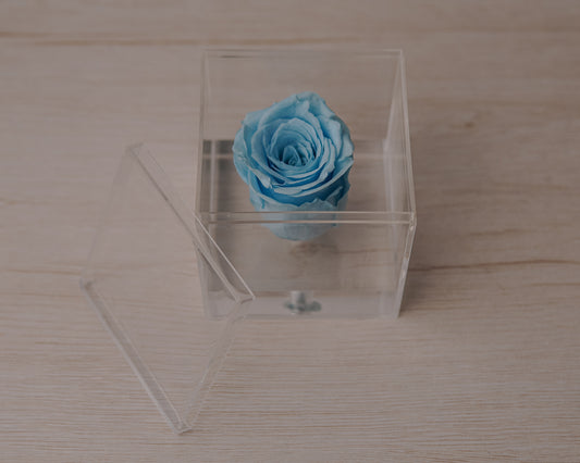 Preserved rose blue