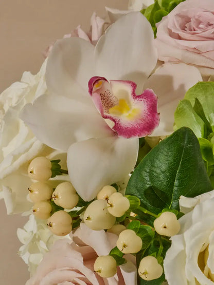 Beauty in Table