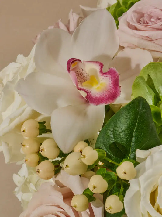 Beauty in Table