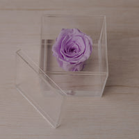 Preserved Rose — Lavender