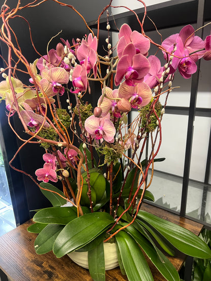 Peach Orchid Garden with Branches