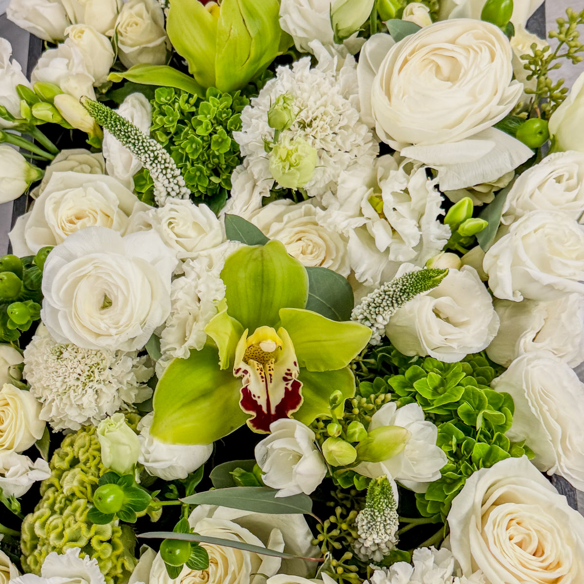 Designer's Choice - White & Greens