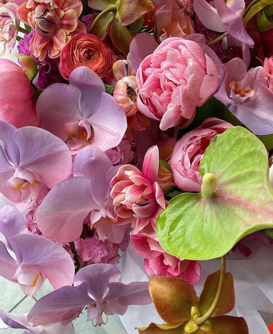 Flower Of The Month Subscription