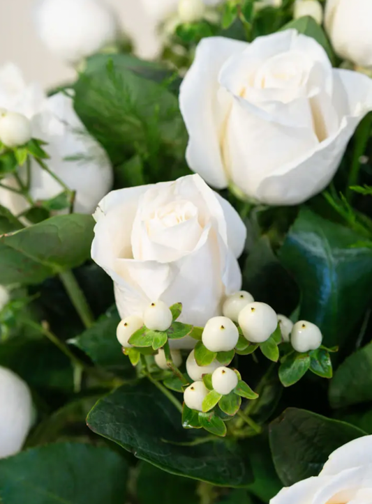 White Roses
