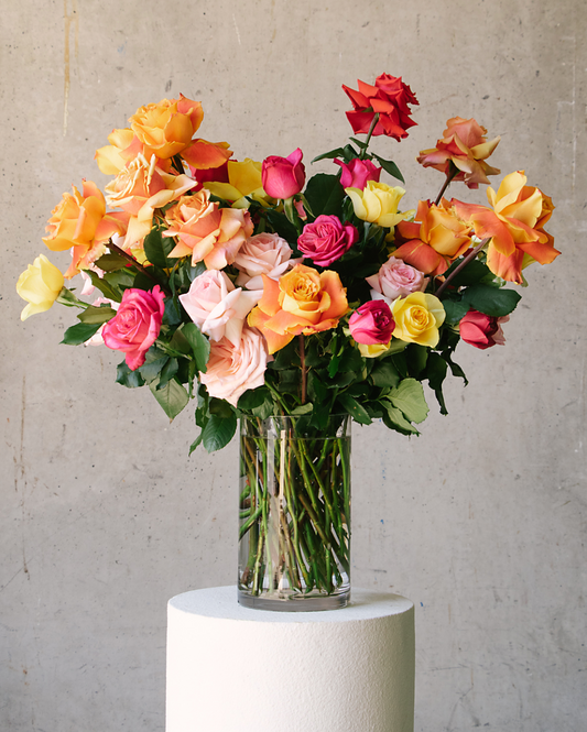Premium Colourful Roses