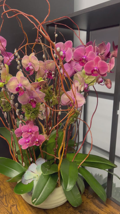 Peach Orchid Garden with Branches